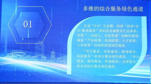 科技金融雙向賦能新篇章 信息技術(shù)咨詢服務(wù)在對(duì)接會(huì)上的核心價(jià)值